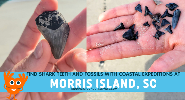 Morris Island