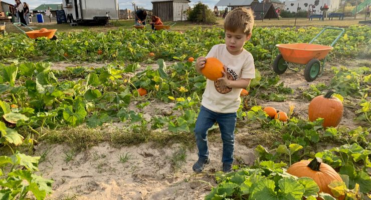 Clinton Sease Farm Pumpkin Patch in Lexington, SC