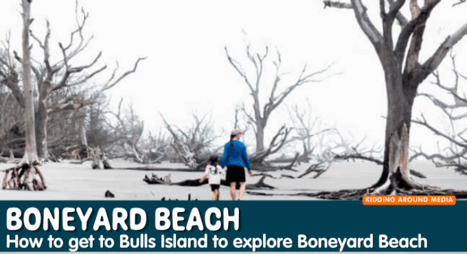 Boneyard Beach on Bulls Island near Charleston, SC