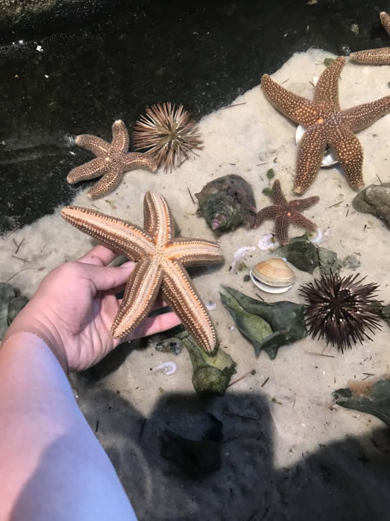 South Carolina Aquarium