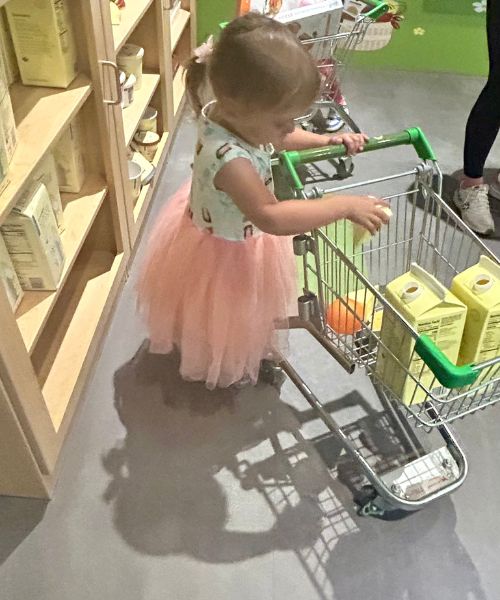 Publix Exhibit