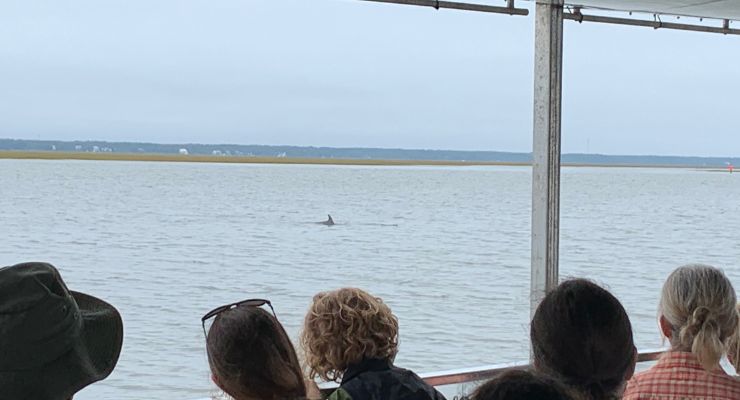 Barrier Island Eco Tour