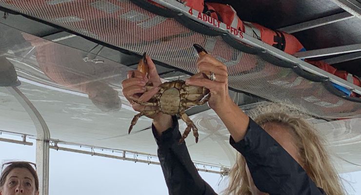 Barrier Island Eco Tour