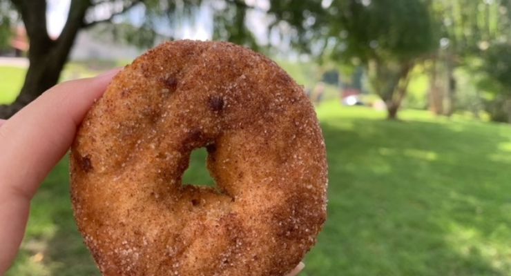 Apple Cider donut