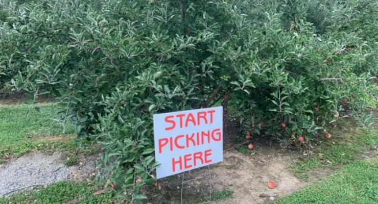 Grandad's start picking sign