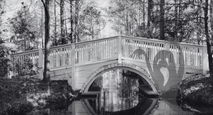 Cypress Gardens