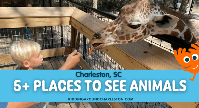 Find more places to see animals in Charleston, SC