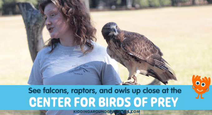 center for birds of prey