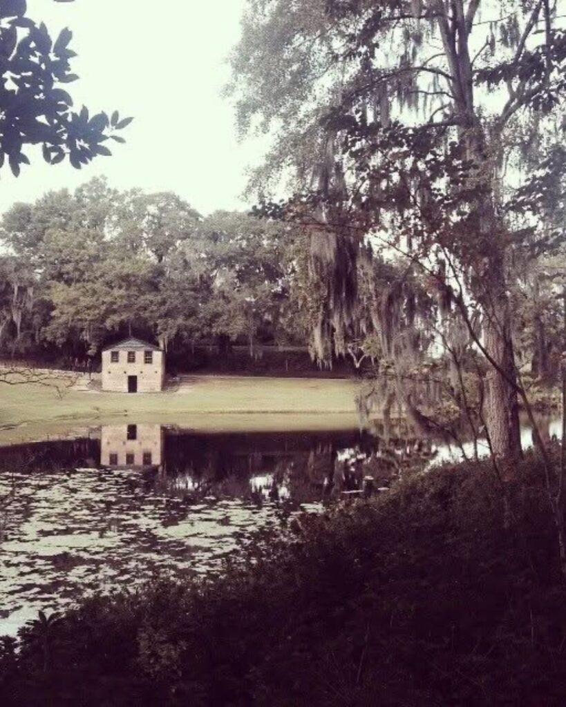 Anniversary at Middleton Place
