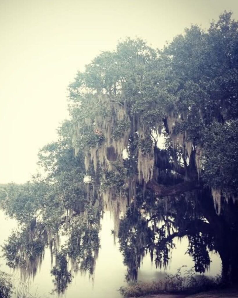 Middleton Place