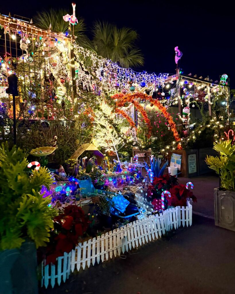 Patio at Christmas, Santi's Mexican Restaurant in Charleston, SC