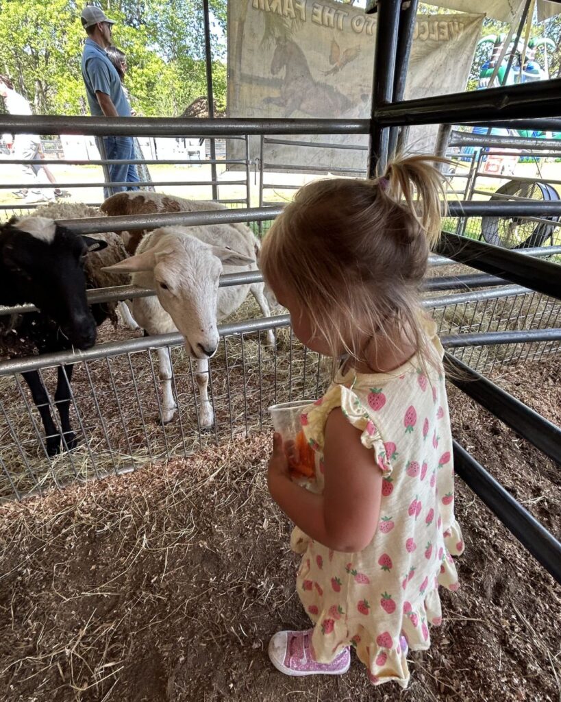 Seeing the animals