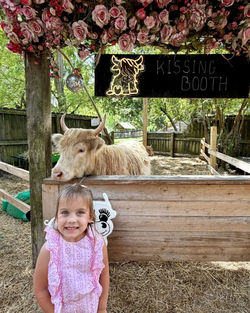 Cuddly cows at Flowertown Charm