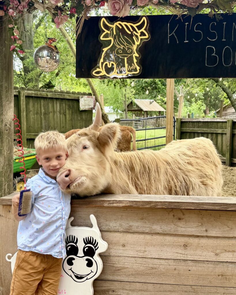 The most adorable and friendly cow ever, at Flowertown Charm in Summerville, SC
