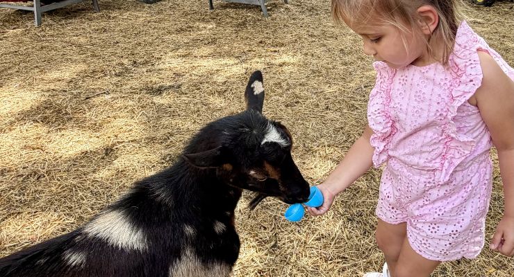 Easter Eggs filled with animals treats