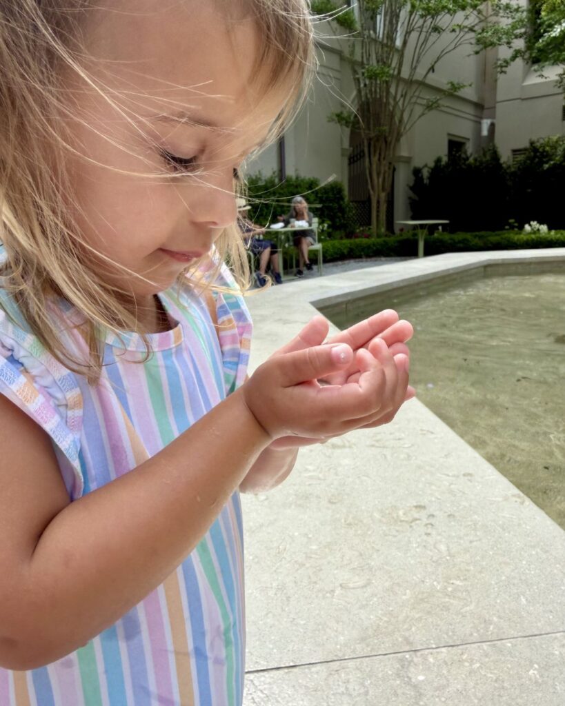 The Fountain at American Garden in Charleston, SC