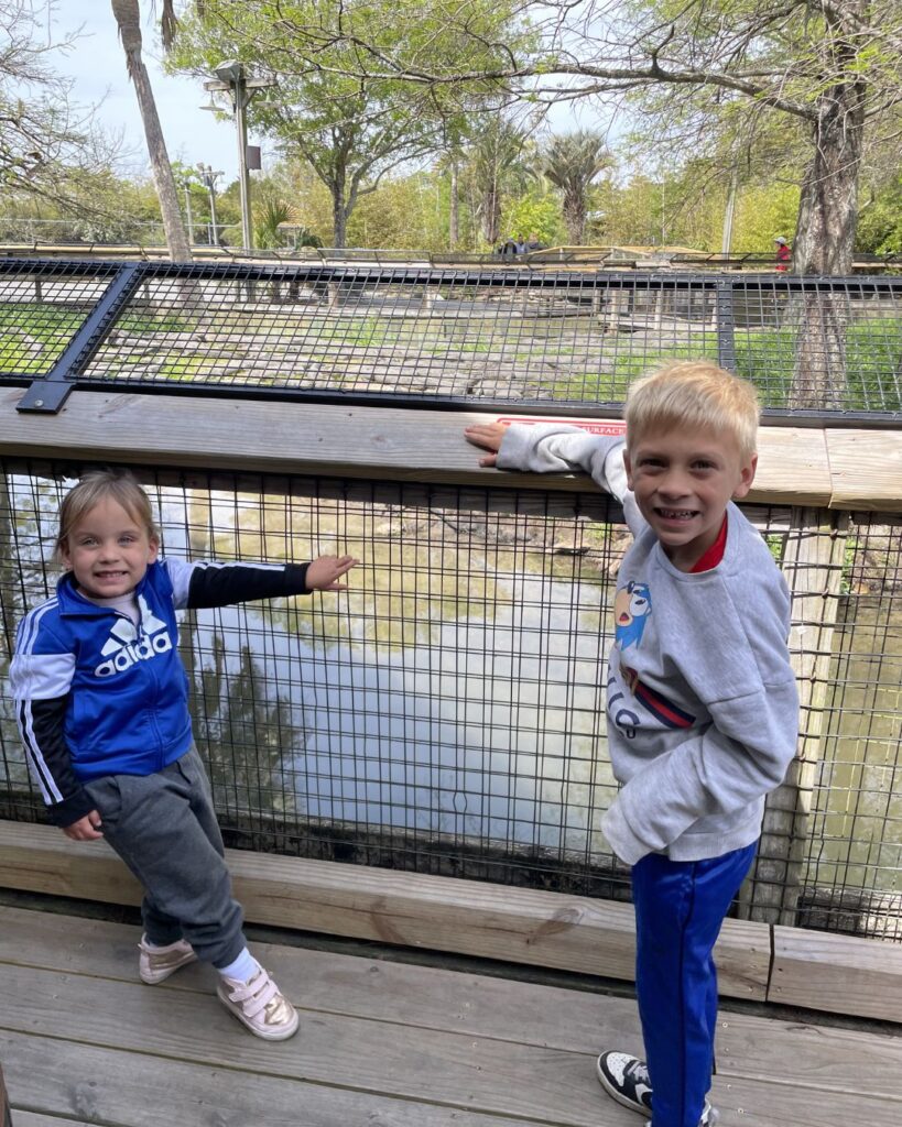 Alligator Adventure