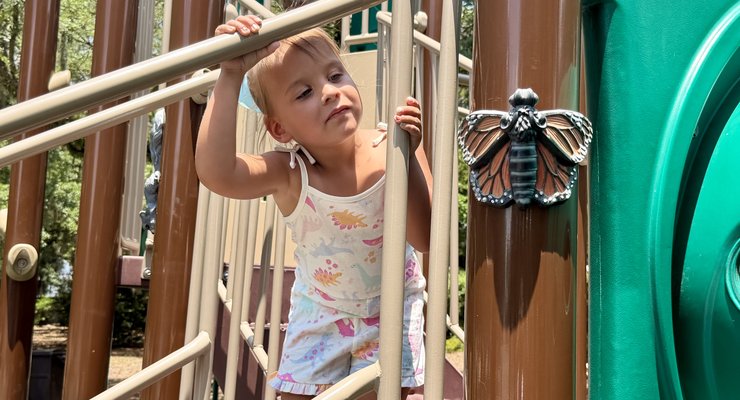 There's an animal scavenger hunt built right into the playground equipment — kids love hunting for all the hidden figures.