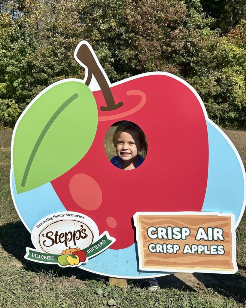 Apple picking rows at Stepp's Hillcrest Orchard in Hendersonville, NC in the fall