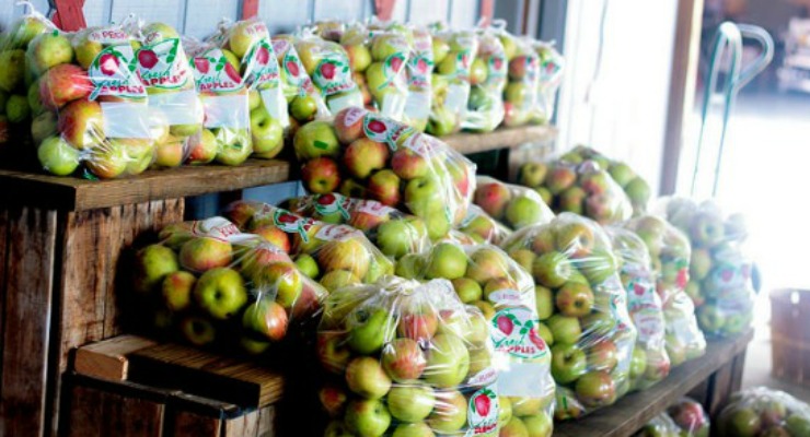 Grandads Apples
