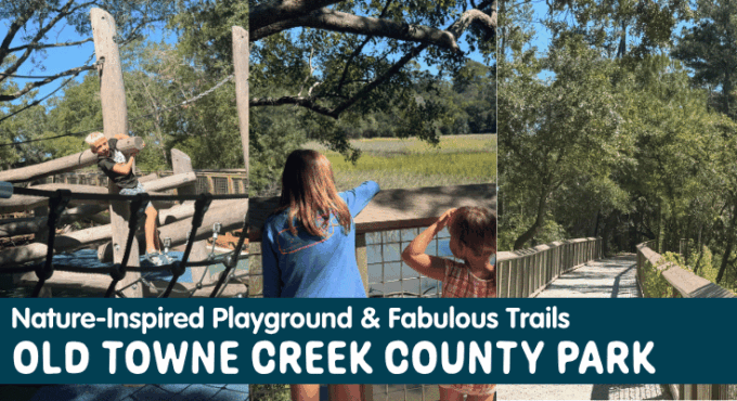 Old Towne Creek County Park in West Ashley, Charleston, SC