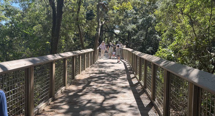 Wooden boardwalk with railings winding through the trees at Old Towne Creek County Park