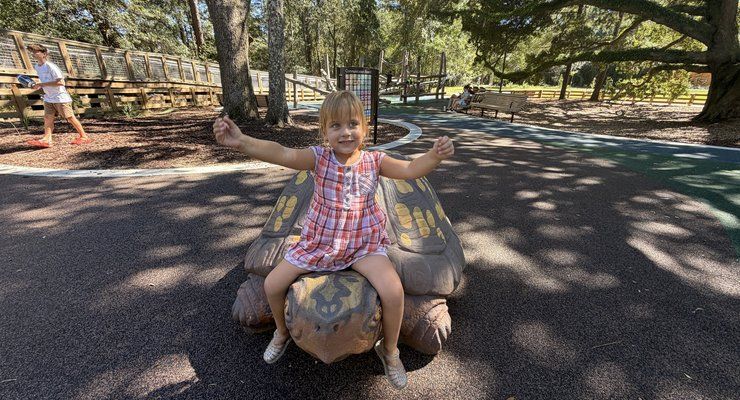 Young girl sitting on a tortoise sculpture at the nature-inspired playground at Old Towne Creek County Park